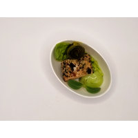 Amuse vis: zalm zeewier